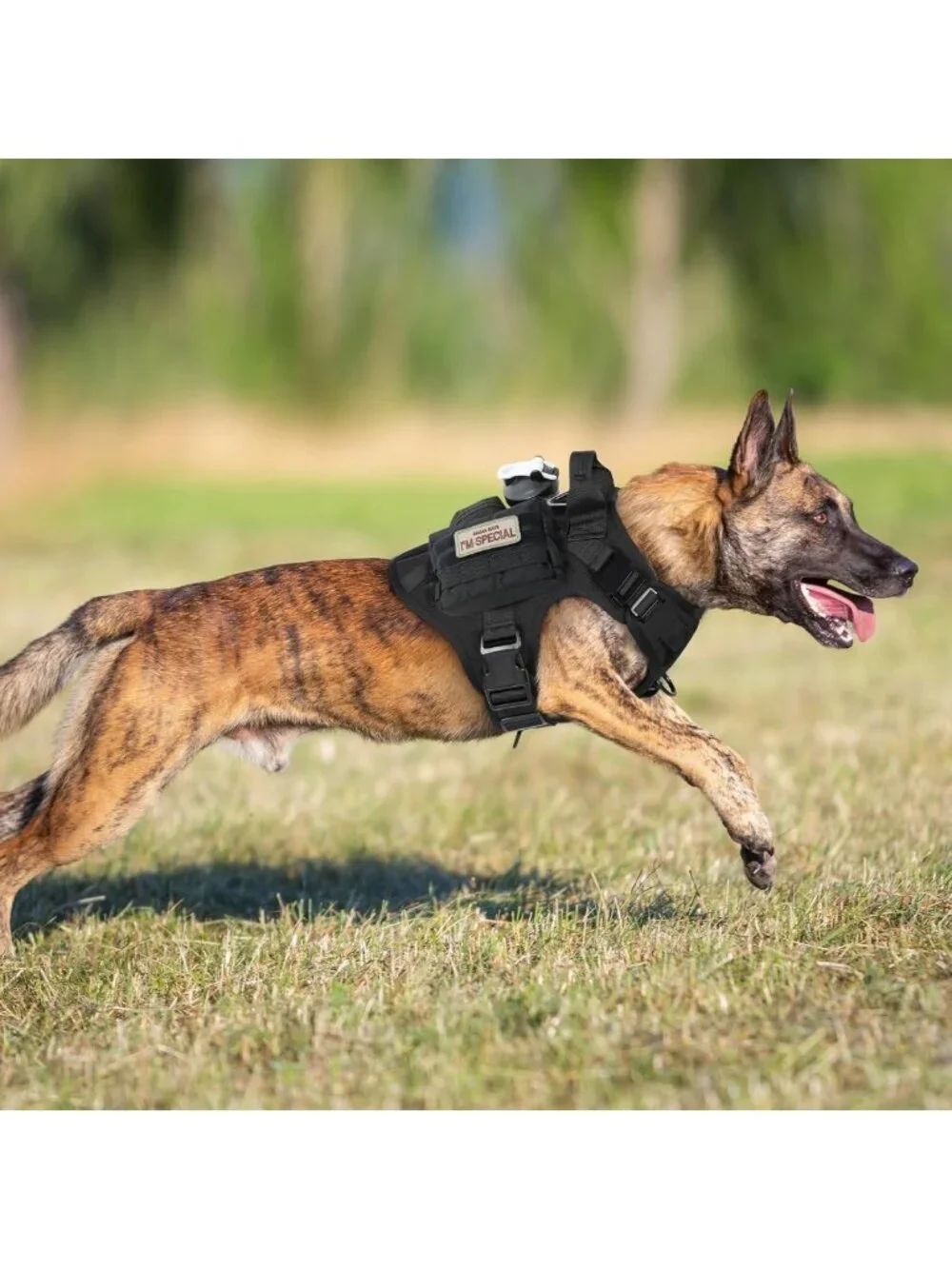 Heavy Duty Tactical Dog Harness for Large Breeds | No Pull Military Vest
